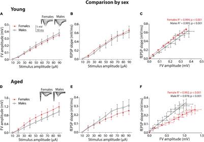 Differential Role of Sex and Age in the Synaptic Transmission of Degus (Octodon degus)